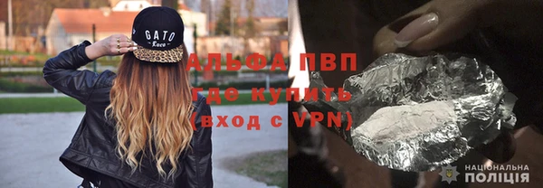 стаф Арсеньев