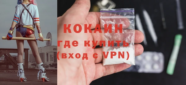 стаф Арсеньев