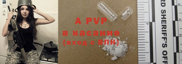 стаф Арсеньев
