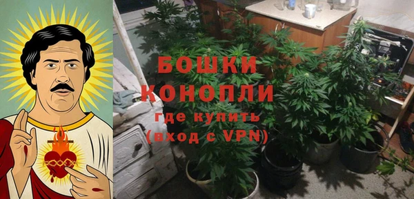 стаф Арсеньев