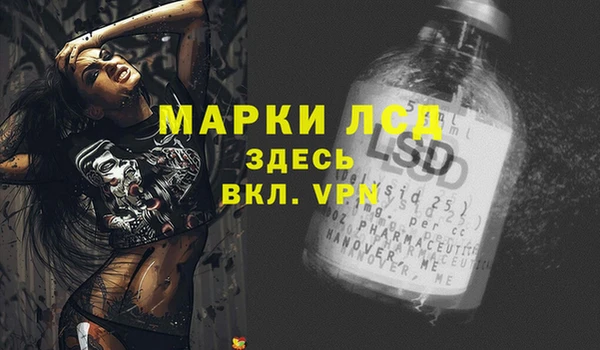 стаф Арсеньев